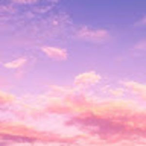 Meet your Posher, Wack